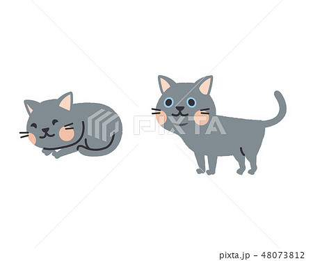 猫　セット 48073812