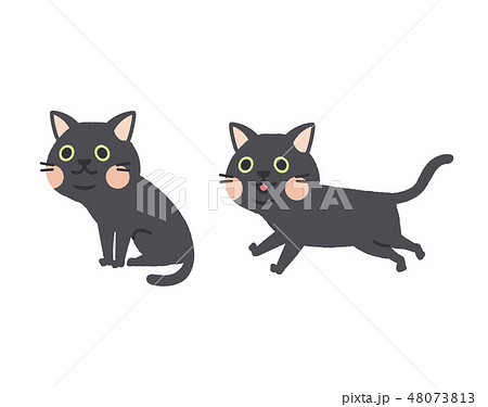 猫　セット 48073813