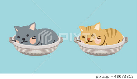 猫　セット 48073815