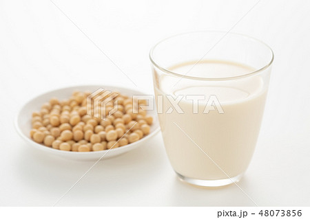 豆乳 48073856