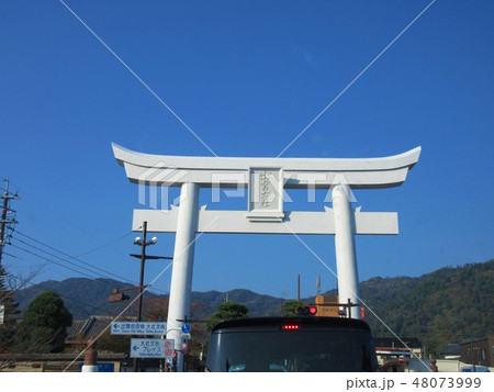出雲大社 大鳥居 出雲大社 大鳥居 48073999