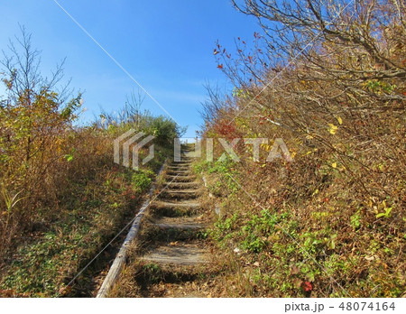 三瓶山　登山道 48074164