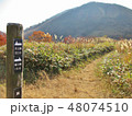 子三瓶山～孫三瓶山 48074510