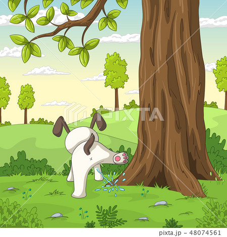 peeing young Adobe Stock