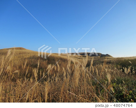 三瓶山 山頂広場 三瓶山 山頂広場 48074764
