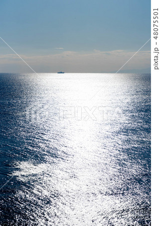 城ヶ島の海 城ヶ島の海 48075501