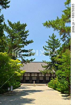 奈良・唐招提寺 奈良・唐招提寺 48076085