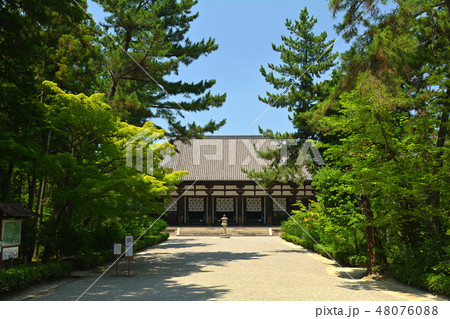 奈良・唐招提寺 奈良・唐招提寺 48076088