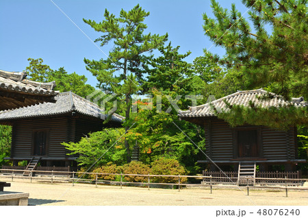 奈良・唐招提寺 奈良・唐招提寺 48076240