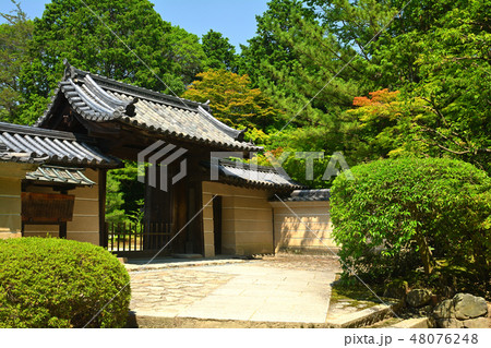 奈良・唐招提寺 48076248