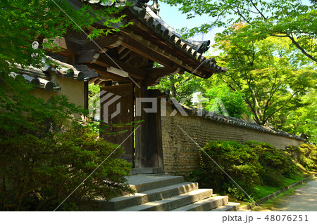 奈良・唐招提寺 奈良・唐招提寺 48076251