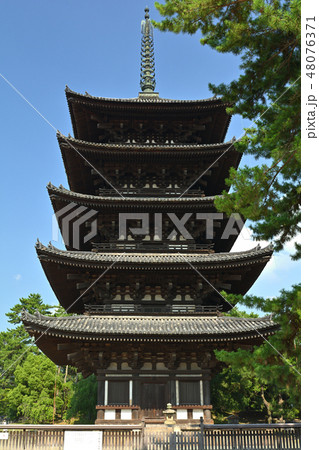 奈良・興福寺 48076371