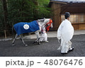 神馬 48076476
