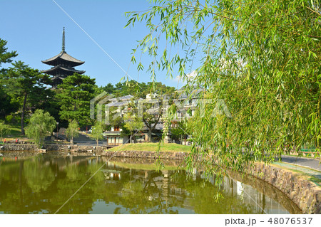 奈良・猿沢池 48076537