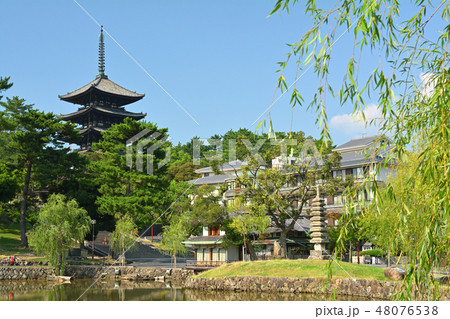 奈良・猿沢池 48076538