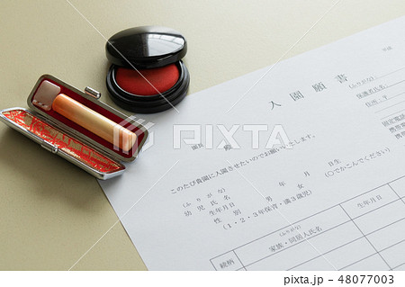 入園願書 入園願書 48077003