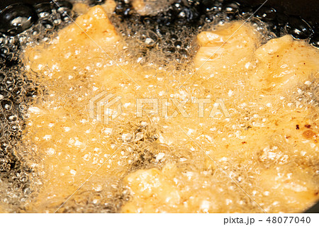 揚げ物 揚げ物 48077040