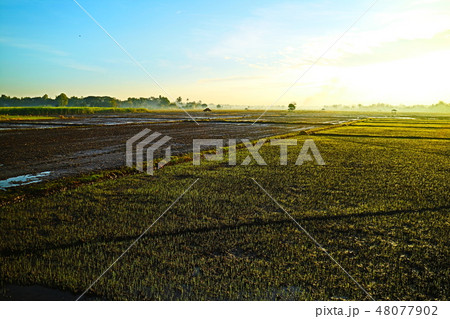 Beauty landscape in closeup style for background Beauty landscape in closeup style for background 48077902
