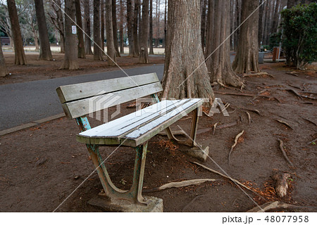 雪がうっすらと積もった公園のベンチ 48077958