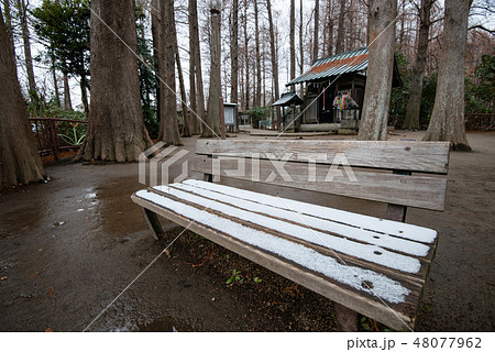 雪がうっすらと積もった公園のベンチ 48077962