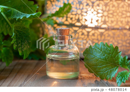 A bottle of melissa essential oil with melissa 48078014