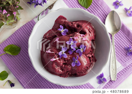 Blueberry ice cream with fresh violet flowers 48078689