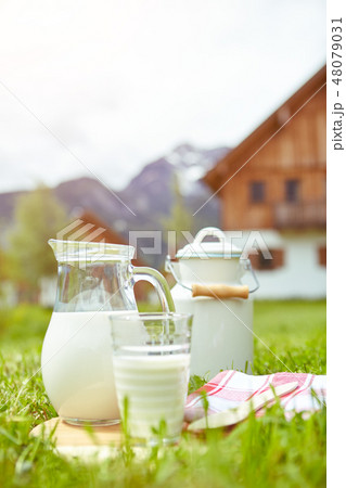 dish of milk standing on the grass dish of milk standing on the grass 48079031