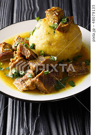 Delicious latino American Mofongo from bananas 48079135