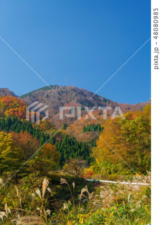 三徳山とその周辺の景色（2018年11月） 48080985