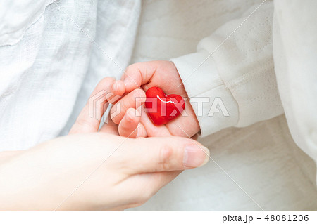 ハートを持つ親子 48081206
