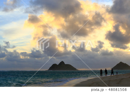 Hawaii　オアフ島　ラニカイビーチ 48081508