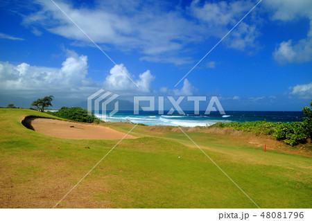 Hawaii オアフ島 ゴルフ Hawaii オアフ島 ゴルフ 48081796