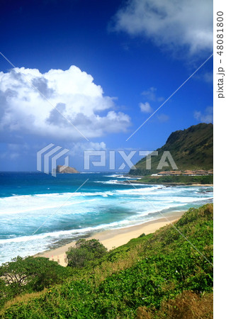 Hawaii　オアフ島　カネオヘ 48081800