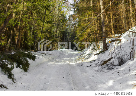 Road in the winter forest 48081938