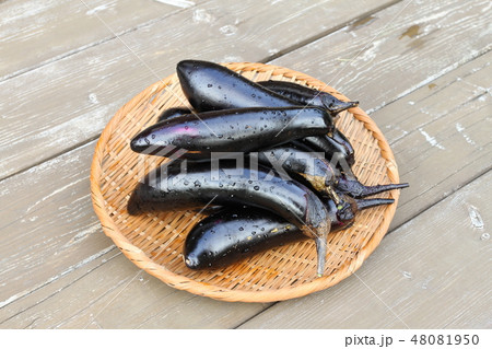 家庭菜園で採れたてのなすび、ザル盛り 48081950