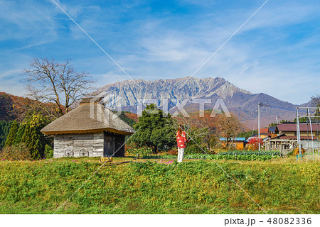 鳥取県　御机からの伯耆大山（2018年11月） 48082336