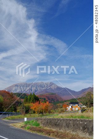 鳥取県 御机からの伯耆大山(2018年11月) 鳥取県 御机からの伯耆大山(2018年11月) 48082345