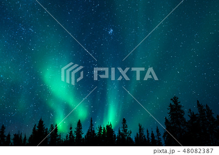 オーロラ 48082387