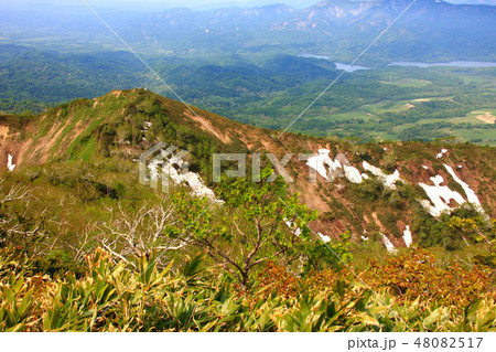 神居尻山山頂から見るBコース・Cコース分岐点 神居尻山山頂から見るBコース・Cコース分岐点 48082517