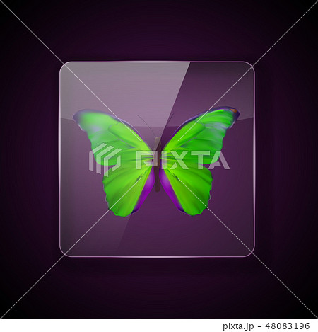 Glass Frame on colorful butterfly 48083196