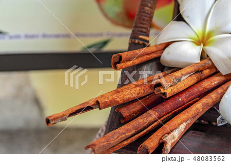 Lotus flower with cinnamon sticks. Lotus flower with cinnamon sticks. 48083562