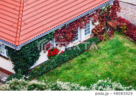 house with garden in the yard house with garden in the yard 48083929
