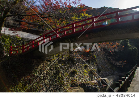 明治の森箕面国定公園・龍安寺の橋 48084014