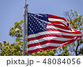 Flag 48084056
