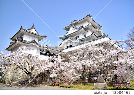 春の伊賀上野城 上野城 白鳳城 三重県伊賀市 春の伊賀上野城 上野城 白鳳城 三重県伊賀市 48084465