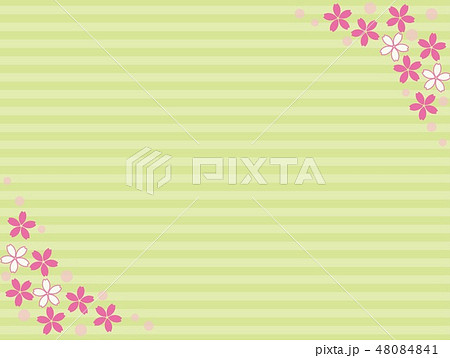 桜 ボーダー 桜 ボーダー 48084841