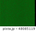 芝生 48085119