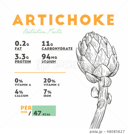 Nutrition facts of artichoke 48085627