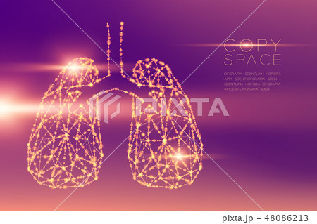 Lung shape futuristic pattern wireframe polygon 48086213