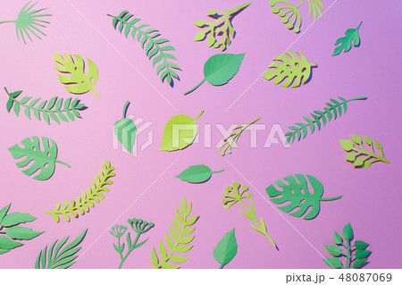Tropical and palm leaves in vibrant bold gradient  48087069